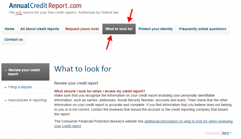 Credit Report Information